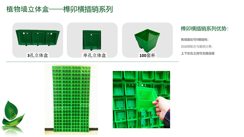 明宇立体绿化产品介绍-07 _6.png