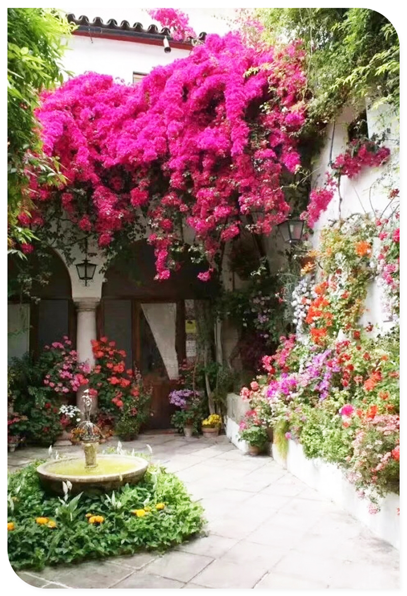 庭院花艺.jpg